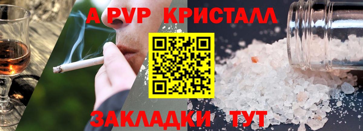 Курчалой  как найти наркотики  APVP VHQ  Вход с VPN  Alpha PVP СК 