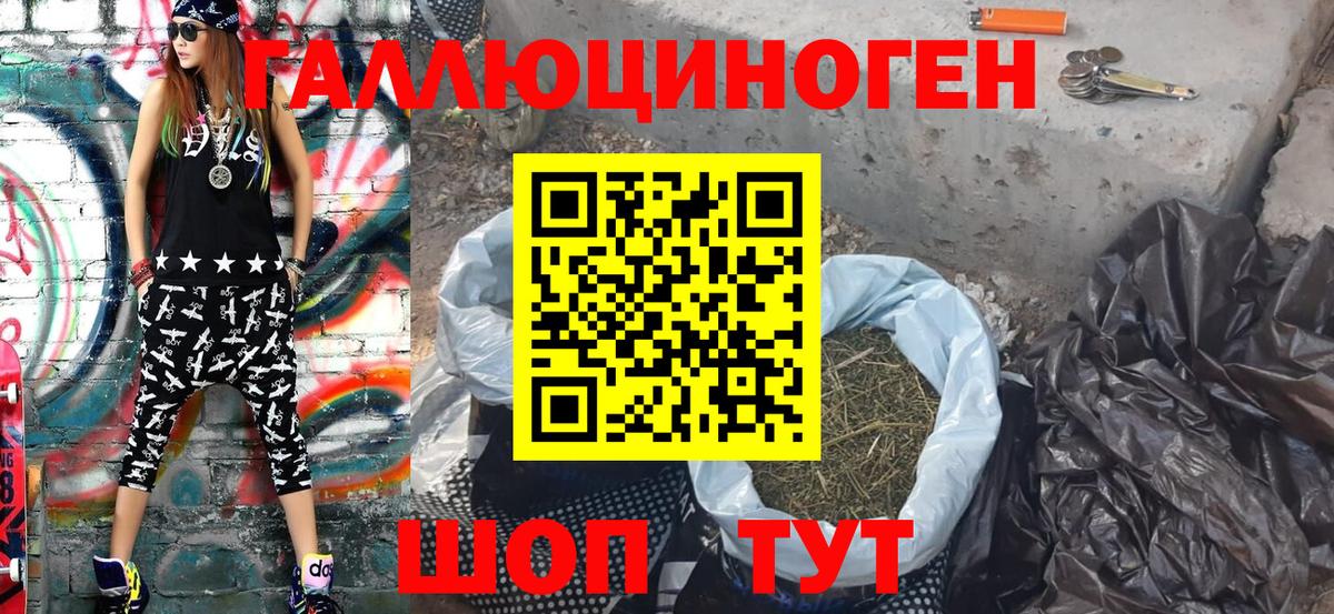 Галлюциногенные грибы мицелий Курчалой